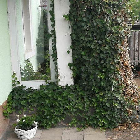 Appartement Eifel Im Haus Sybille Kelberg Zewnętrze zdjęcie