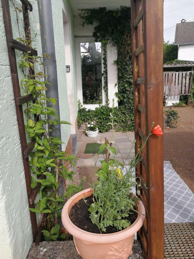 Appartement Eifel Im Haus Sybille Kelberg Zewnętrze zdjęcie