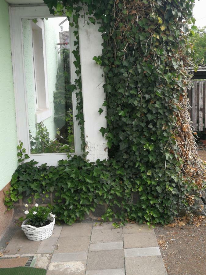 Appartement Eifel Im Haus Sybille Kelberg Zewnętrze zdjęcie